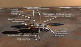 凤凰号在线观看,实时捕捉精彩瞬间，带你领略在线观看的魅力