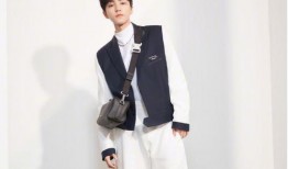 女生爆料王俊凯视频播放